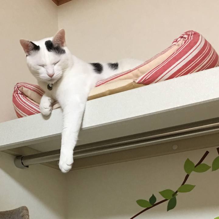 Fef5b195 5da3 4f63 af27 4323aa82b22f