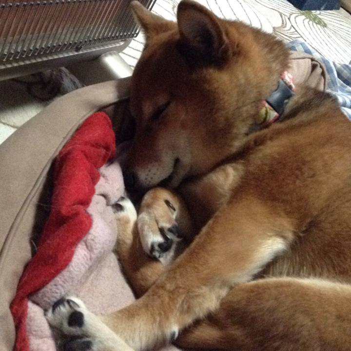 Fef63acd 9b93 4aa4 b18e 86f9cd0a2e3f