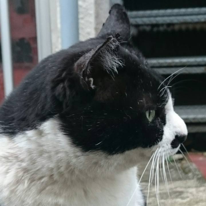 Fef645fa e480 420e b27d 6e2fa290f668