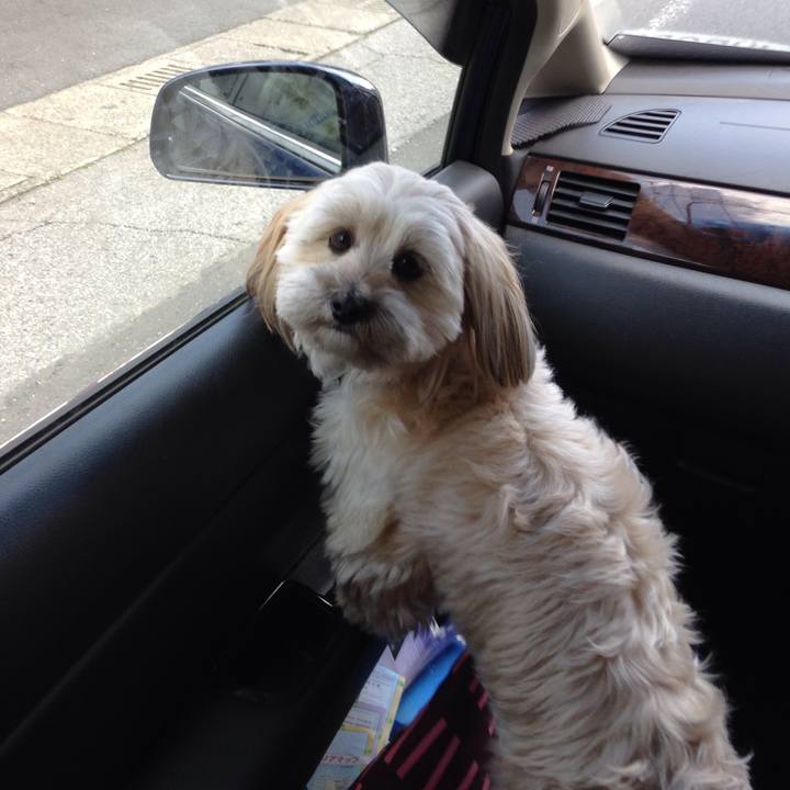 Fef66aae 90d3 461f ab15 a8ed6a4b9a6b