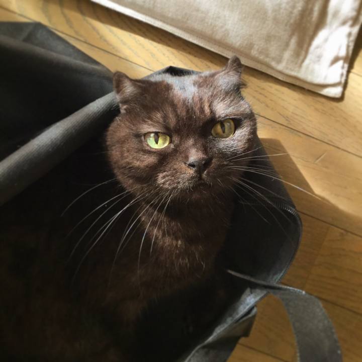 Fef6d7d7 13d2 413d a56c e63c6d195ec4