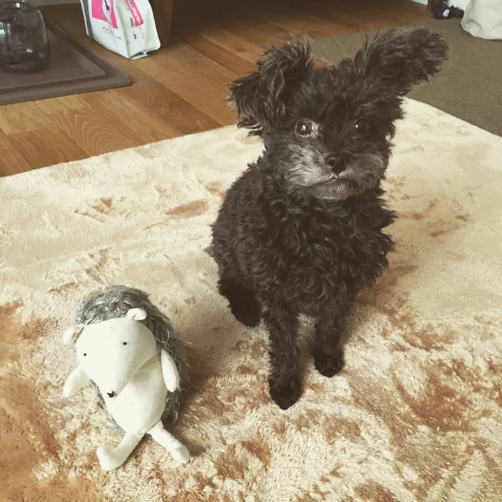 Fef82162 0545 4f25 b22a 87e74f54fc64