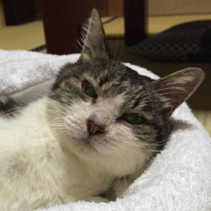 Fef90b9d 2cb2 46e3 9885 be1666518228