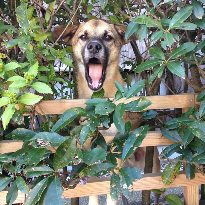 Fefa089a 237c 40d9 8e60 f8f0f0460fcc