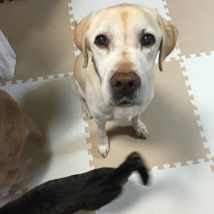 Fefa6e92 8904 47b7 8dd7 531cc2fe5b16