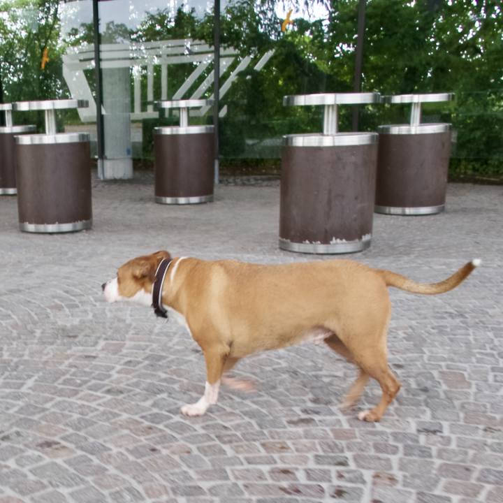 Fefa7c05 5ff9 4687 8f3c 8d78f83e6c9c