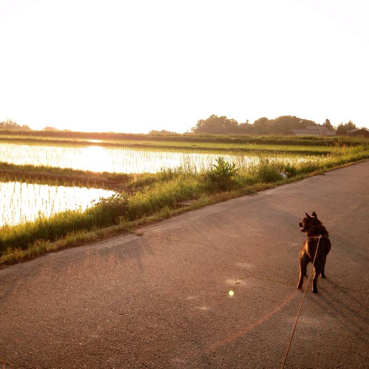 Fefb25aa d59d 4388 94ad 6e9242881049