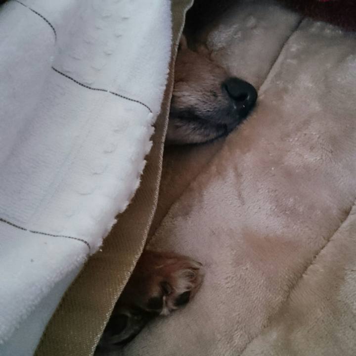 Fefba5ca 62ae 454f a255 3ac6f00fc8d9