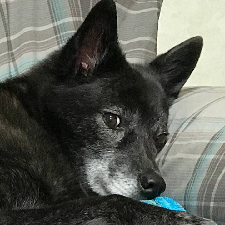 Fefbaec8 3894 4204 931f e0ab3465a0a8