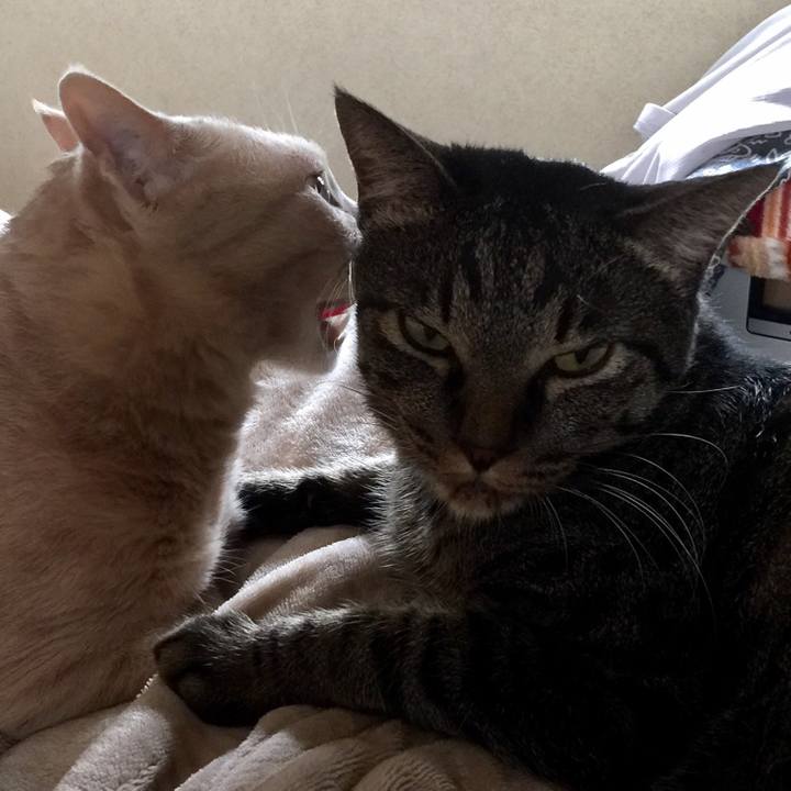 Fefbf9dc 0e7a 48b0 bca4 8341374931fb