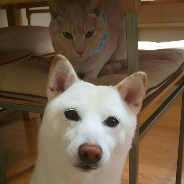 Fefc3b64 5394 4dcb 9c2c e6b116f4354a