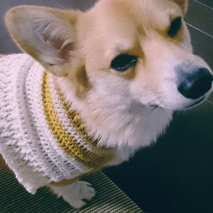 Fefc605a e81e 4fd0 a7b5 76fc0b214d6d