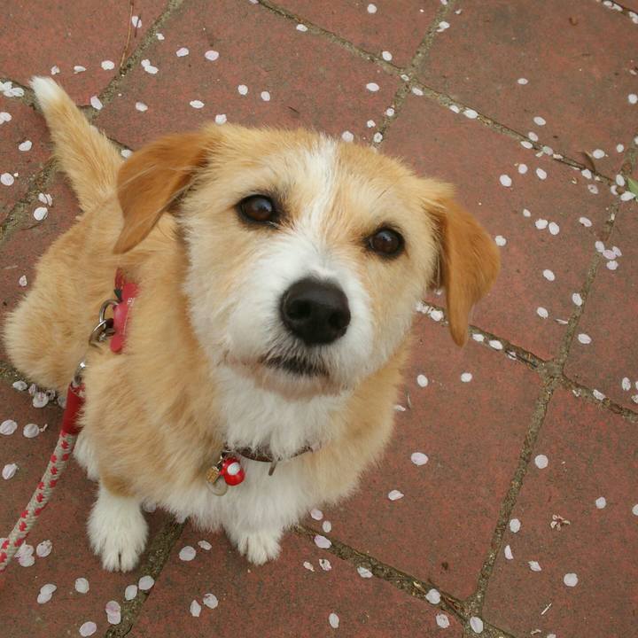 Fefc8e15 f1ce 48f7 8e3b c2d59fa50f9f