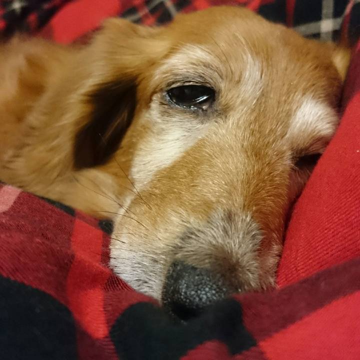 Fefccc96 d006 4d26 82c9 612c338408ef