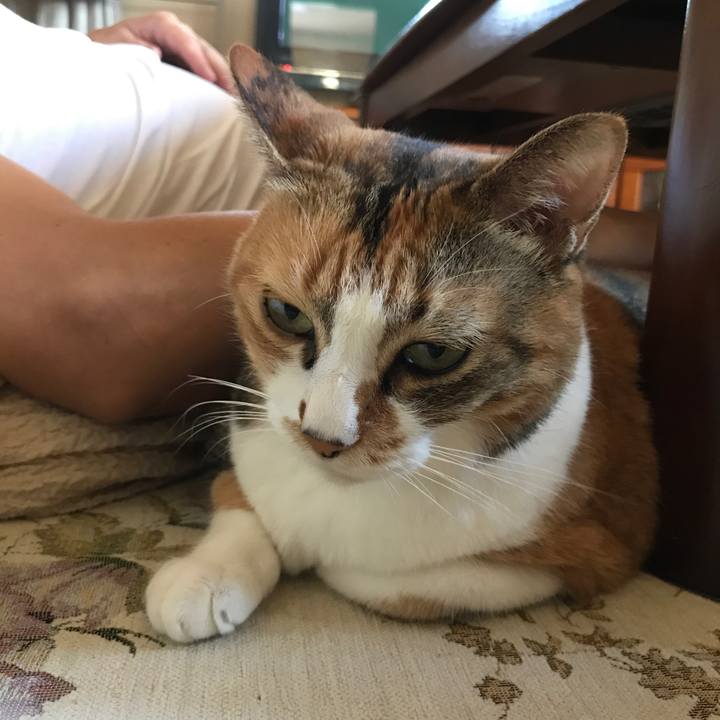 Fefcf716 17a4 49c4 a3fb 041fa749a479