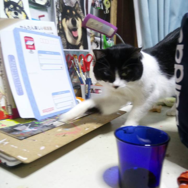 Fefd92bd 7a32 4291 80c3 d056aba7e676