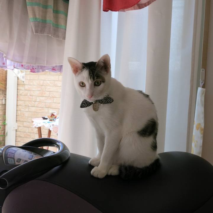 Fefe3d1e 0ac1 4f0a 806e e8a28e1e71f7