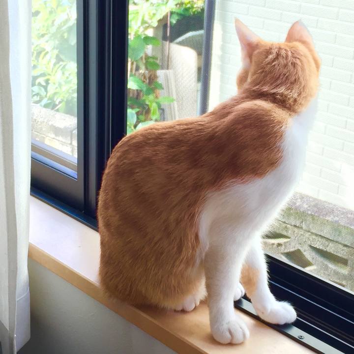 Fefe73c4 c492 4d54 bce3 95cb899e137f