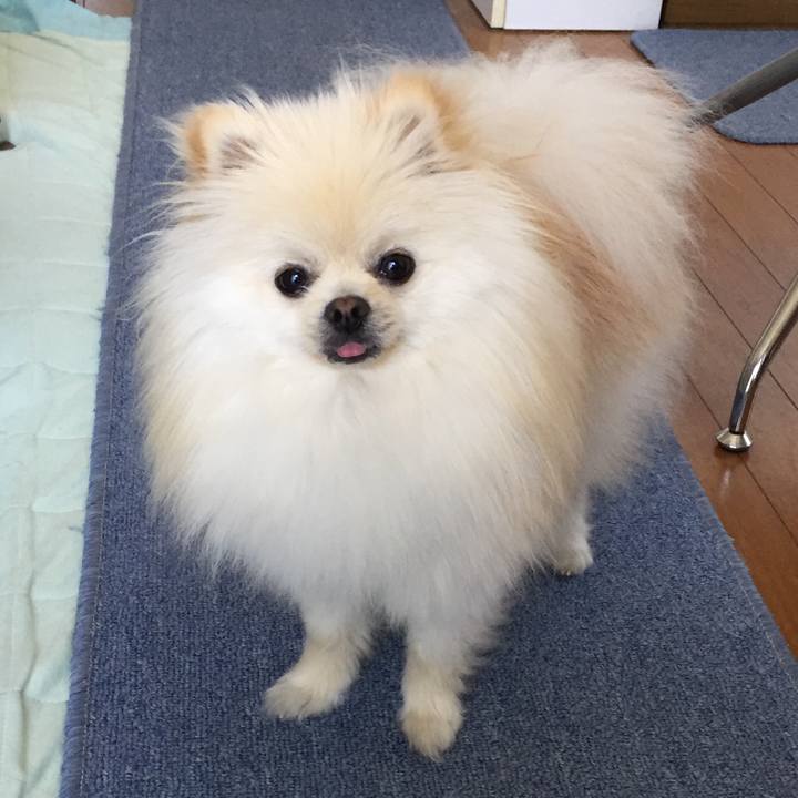 Fefe8bf8 bac9 4648 a10c a9dda5cf2348