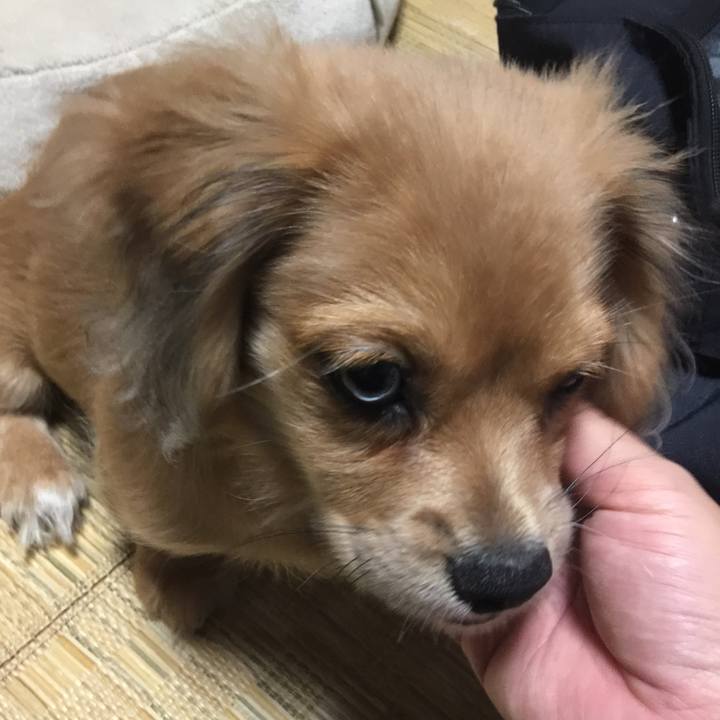 Fefebd7d 03c8 4836 a621 526907564f02