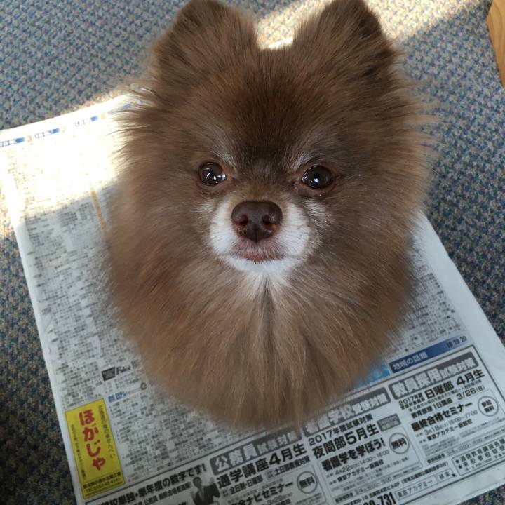 Fefefc31 eefc 462f bab7 41f79091735a