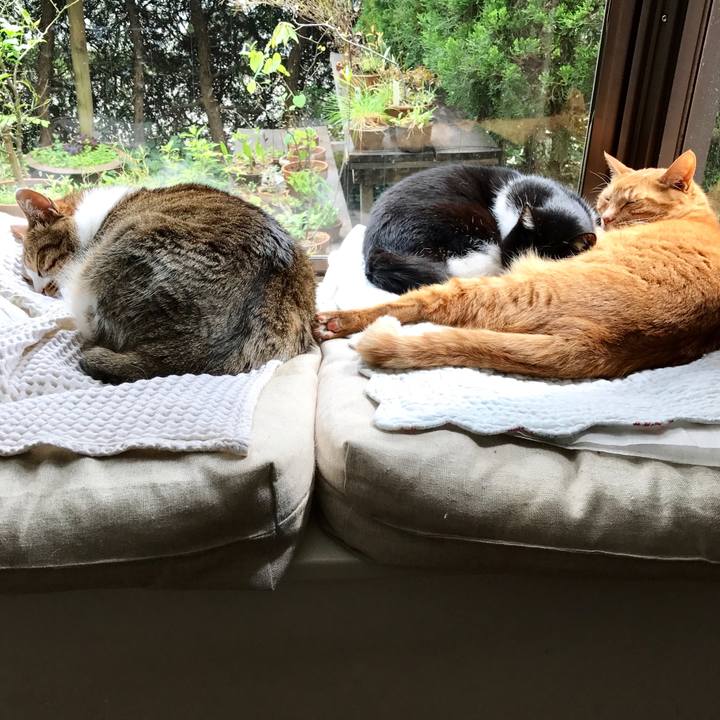 Feffa3b0 e2bb 45ed a8b3 792bbd42a1ba