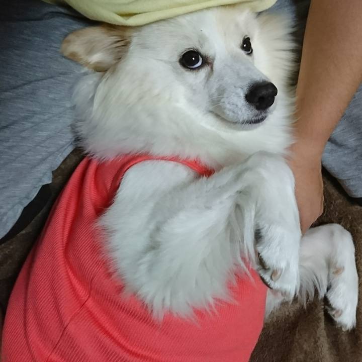 Feffd368 af85 49ae 877e 8a2f440ec1ec