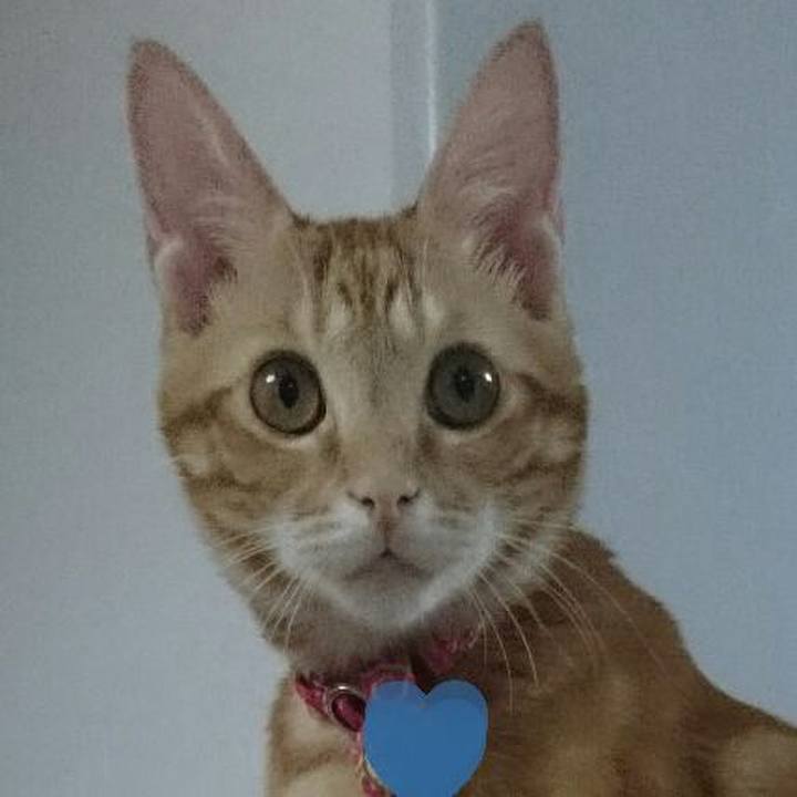 Ff0003cb 9034 464c 99e6 daed06a71b86