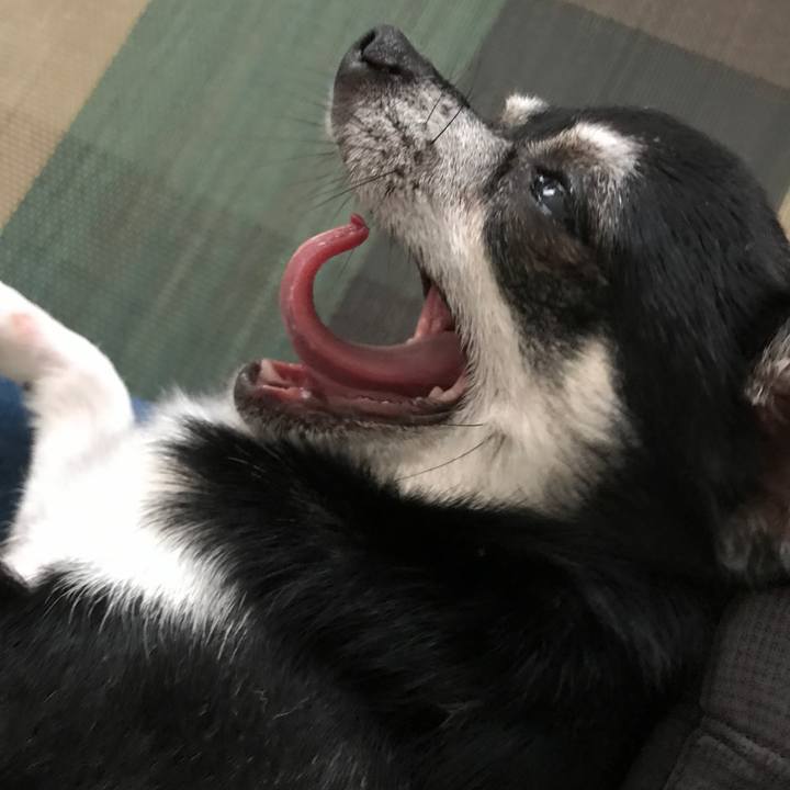 Ff002f0a b931 4897 85d2 5c16caedb7d4