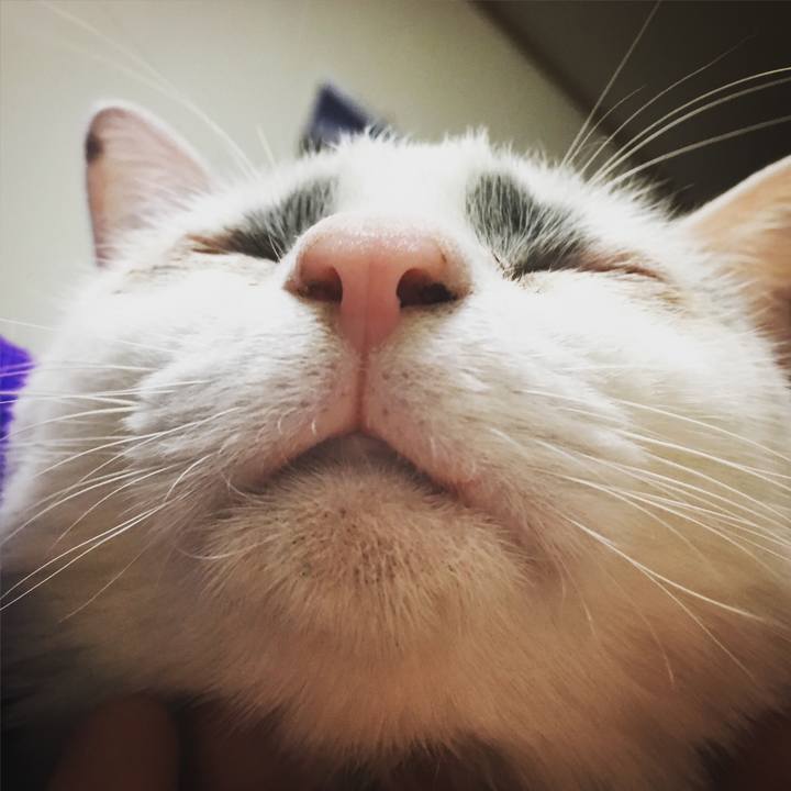 Ff0071c8 82ff 4b72 a6f5 c54f0a4930e2