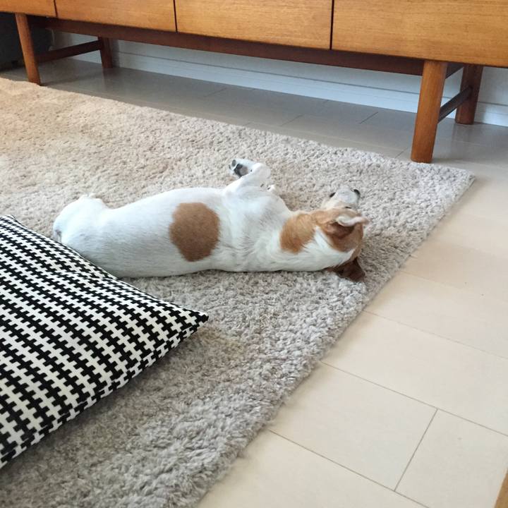 Ff015557 f3d6 46c7 8335 33fe0783a119