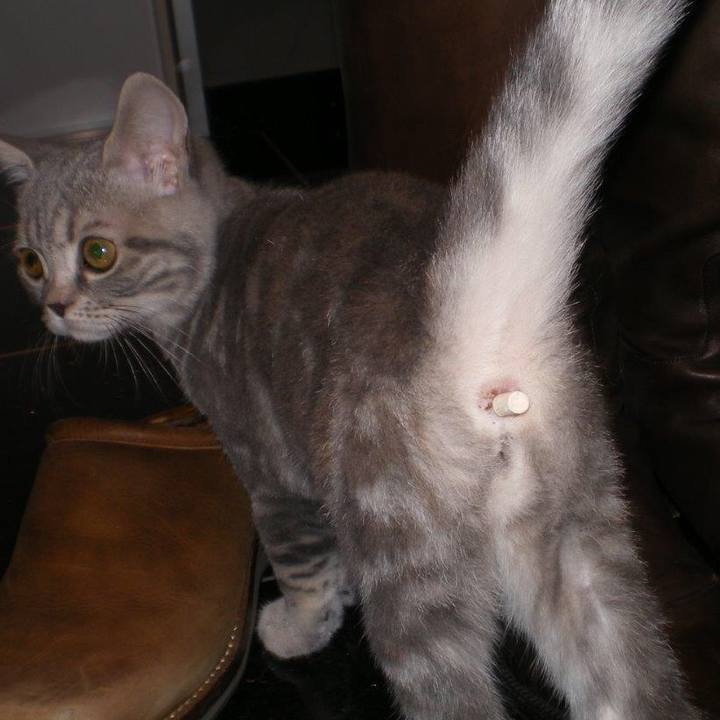 Ff01a92e ff1f 4b75 8333 4af56a79dbd7