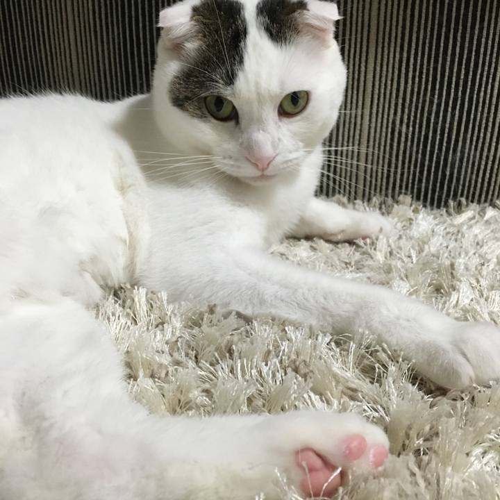 Ff0210a1 3ad7 4c70 9e83 d59ee446770b