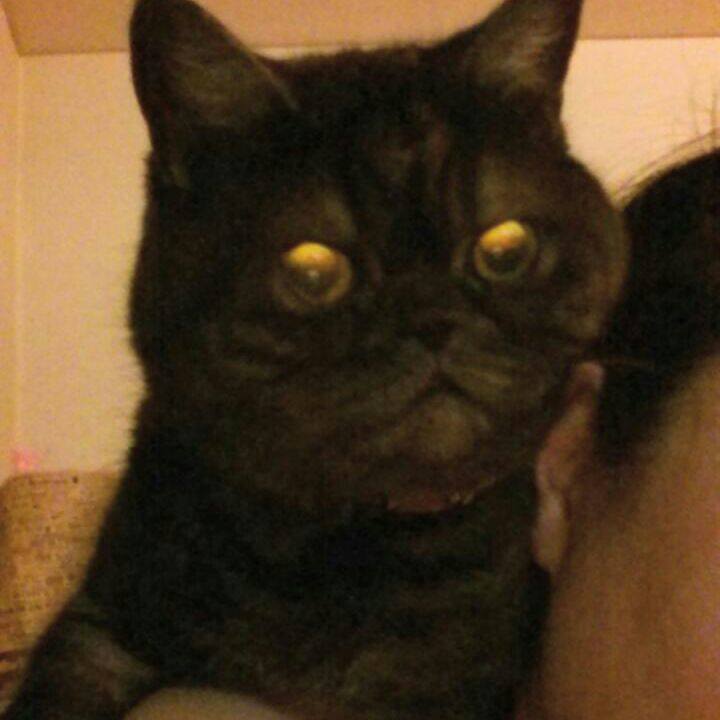 Ff021867 9f5f 43dc 96bf 86e2acf5f251