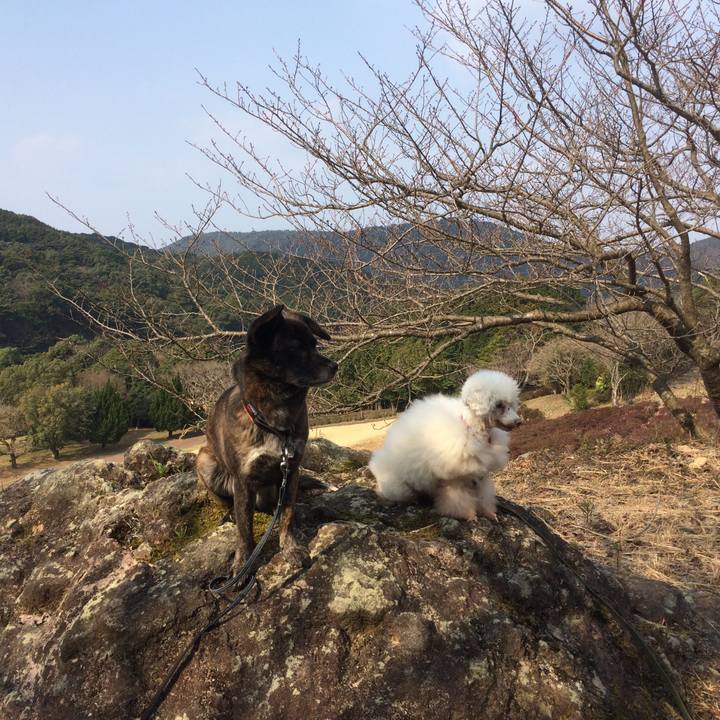 Ff02b769 8292 4d28 ba69 8671802e18d6