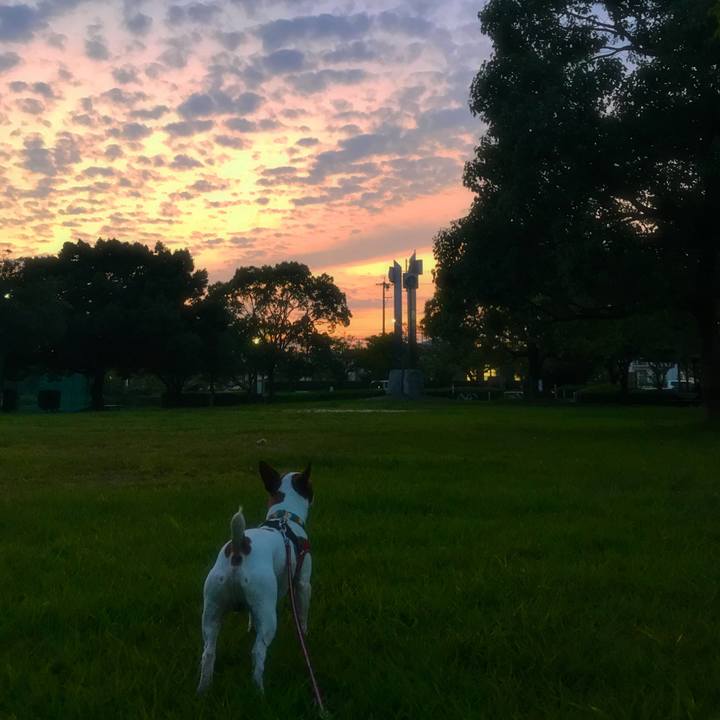 Ff02cb00 37e5 4fec bb28 019f8f252aaa