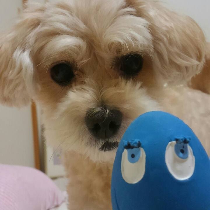 Ff0347a5 3959 4a57 beec 48244beb9440