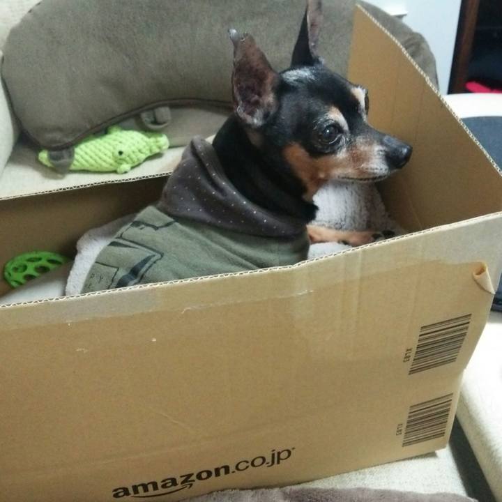 Ff039949 dcb5 4fb0 bd94 841735a29418