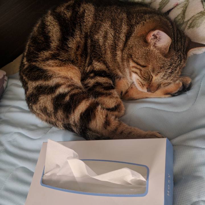 Ff044d45 5fab 4627 8c83 db8528eacfea