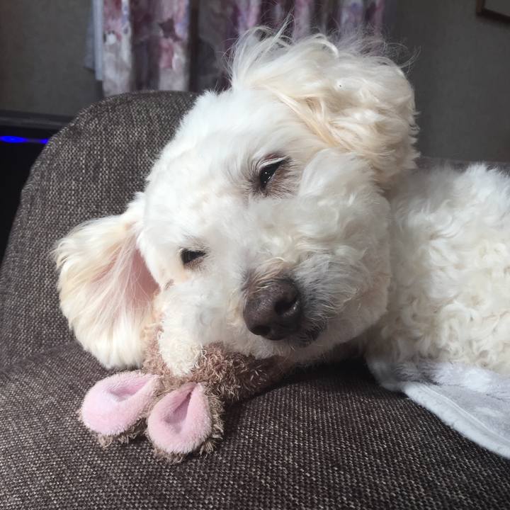 Ff04822e 3ded 46e4 ad22 ab0058383bc1