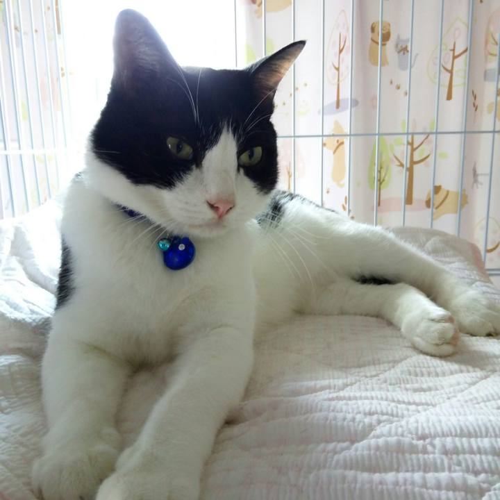 Ff0540a8 00c6 418a a776 91a14adc9bd3