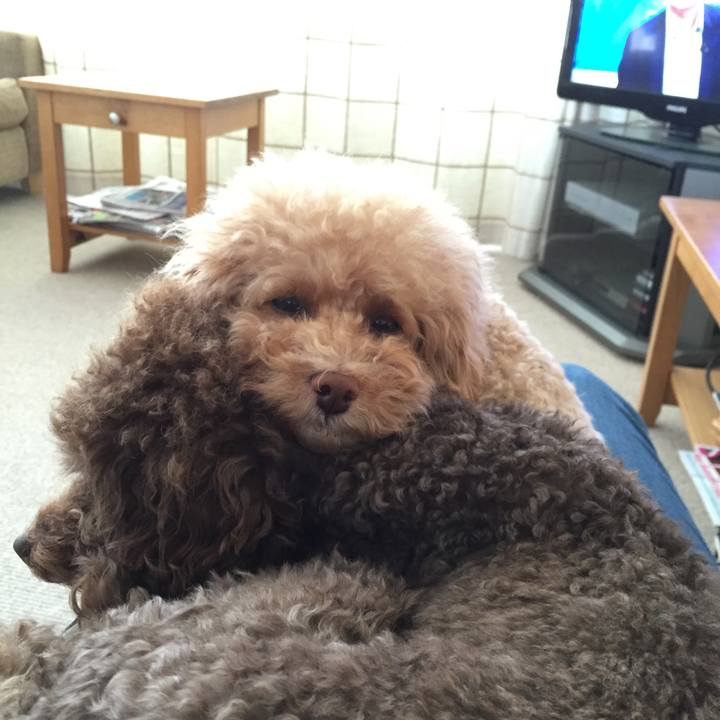 Ff057567 548c 490c b031 a55c4a67ee6d