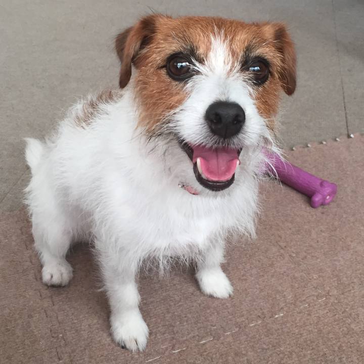 Ff05e0e9 e803 4bf3 b966 3105c3f4df5a