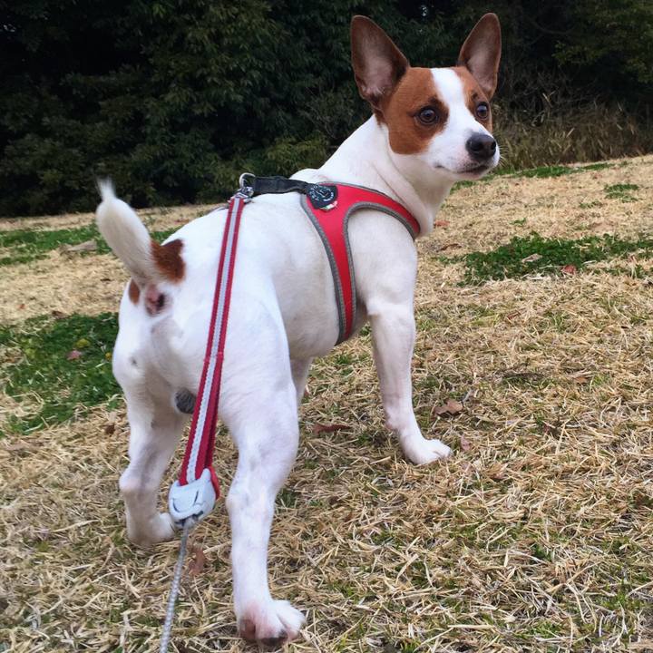 Ff06447c 4d95 4d8f b769 b451b2a6d39d