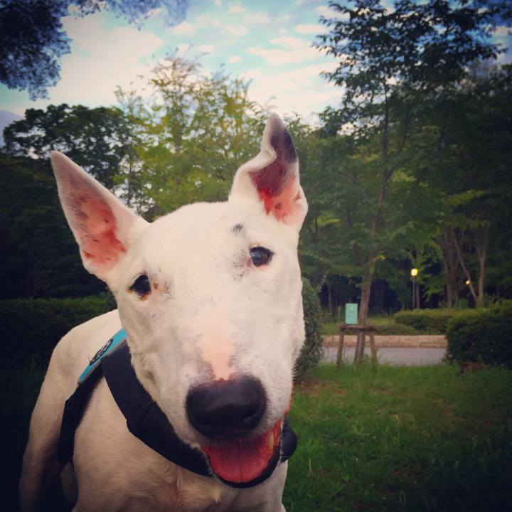 Ff06838a c64f 49e1 8389 a6e8da20c8b4