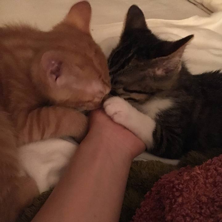 Ff06e0f0 dba2 4bfe af4f b7d192c383f2