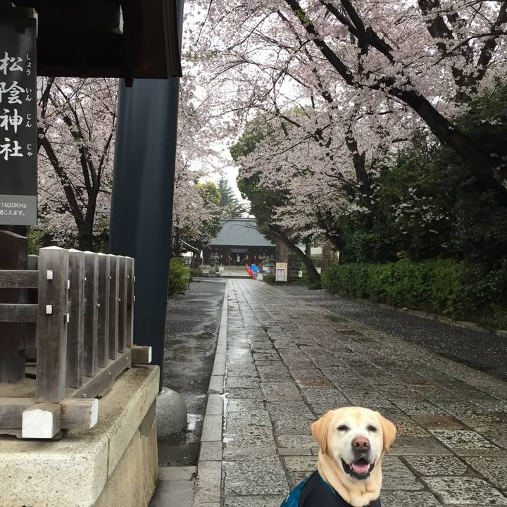 Ff06fa3e 5c08 4e49 8281 2966a0f17362