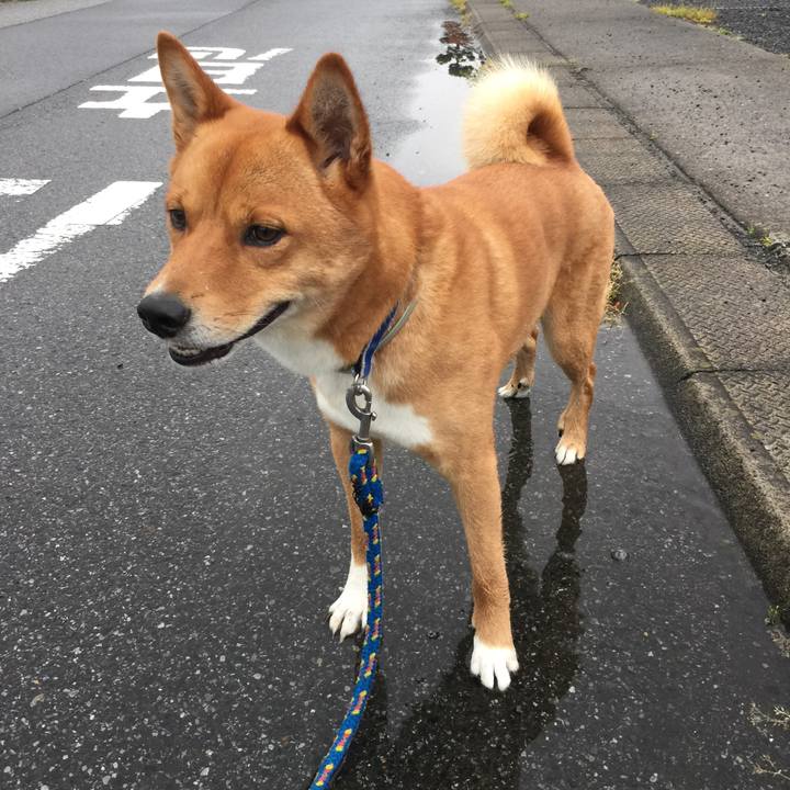 Ff070e62 7fae 4a1c 84f4 c09d3ed6f192