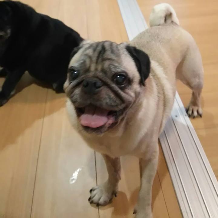 Ff07a510 71c7 4611 a3a1 c8f869ee1032