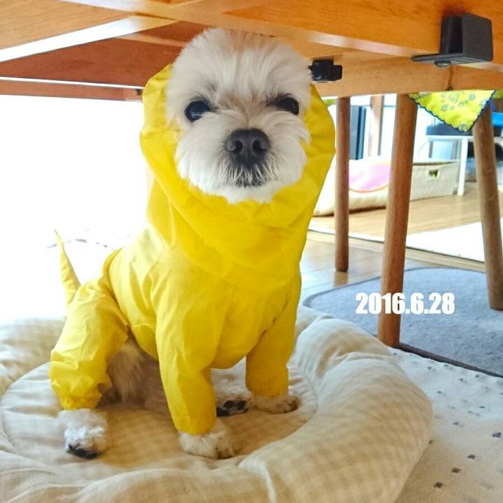 Ff07dd5e 08bf 46f3 9d40 93ce39fade39